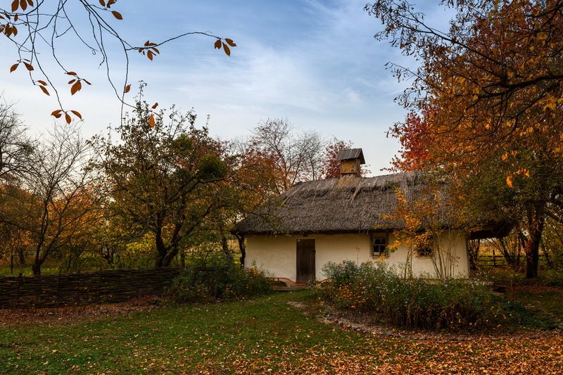 село, музей, пирогово, осень, октябрь, вечер когда птицы улетают на юг фото превью