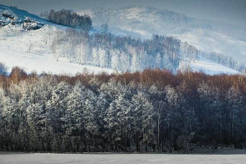 Заинело...