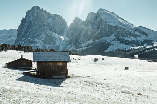 Winter Wonderland