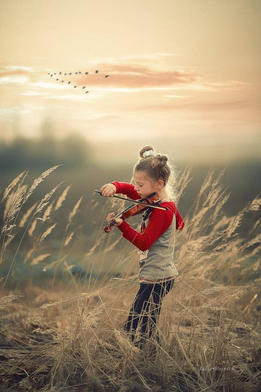 , Юлия Войнич