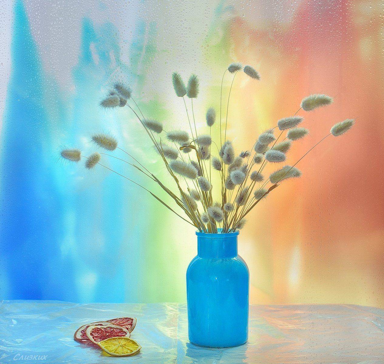 этюд,фантазия, свет,цвет,букет,сухоцвет, Инаида