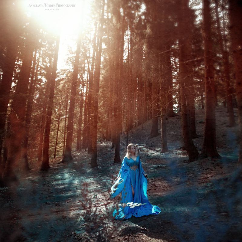 сова,лес,эльфы,эльф,платье,солнечныелучи,осень,сказка,тордуа Лесные жители фото превью