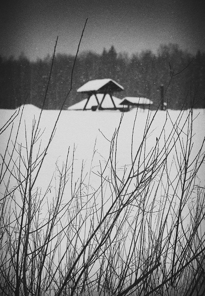 , Елена Лаврова