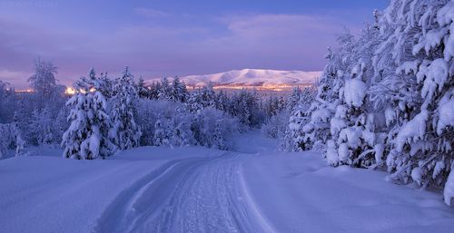 Вечерние Апатиты