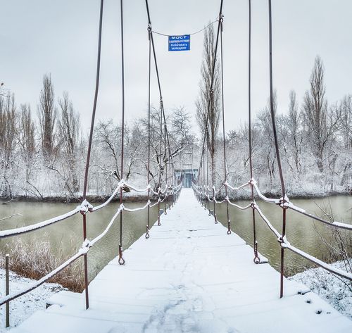 Чудеса Краснодарской зимы.