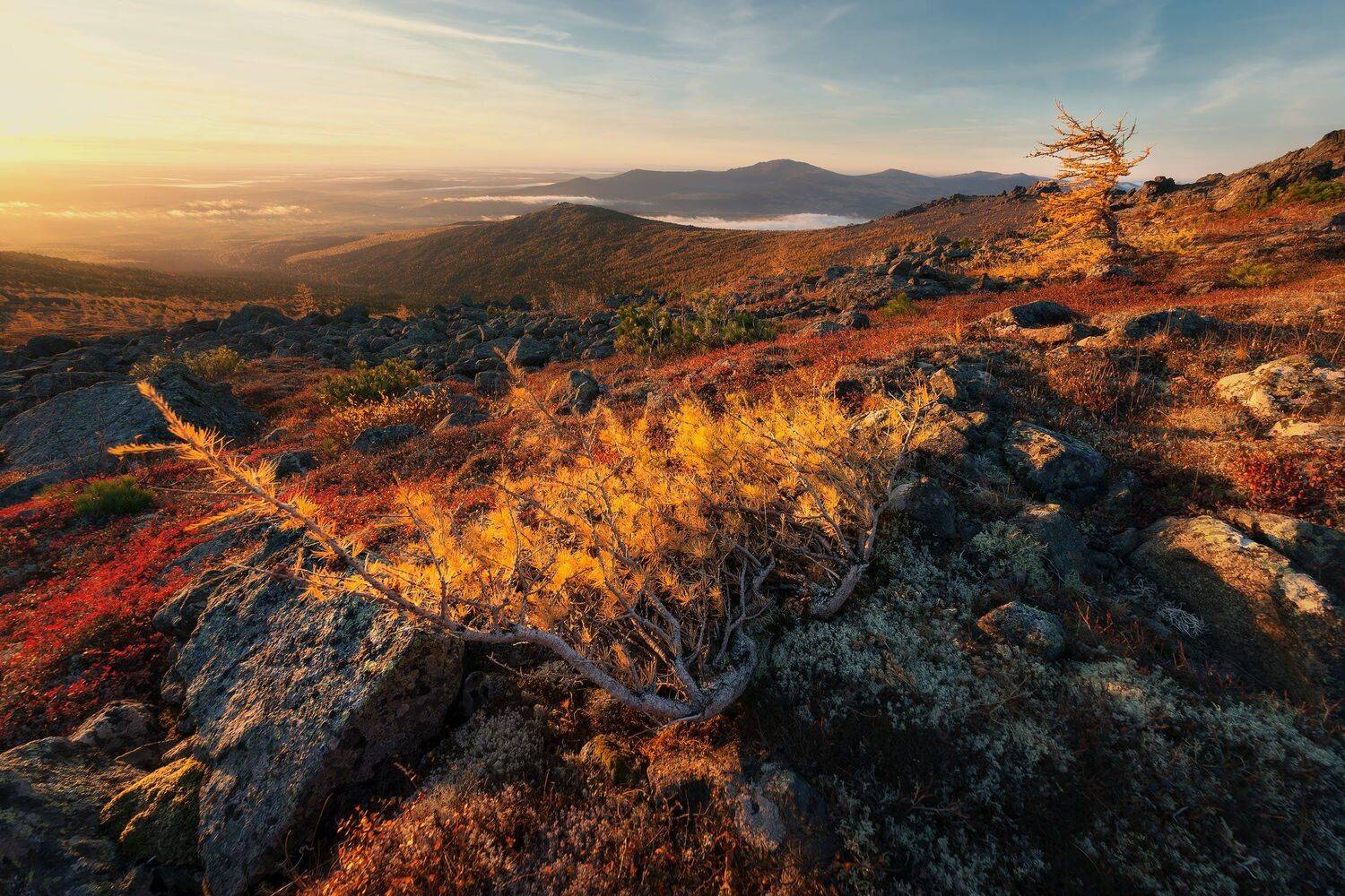 , Михаил Туркеев