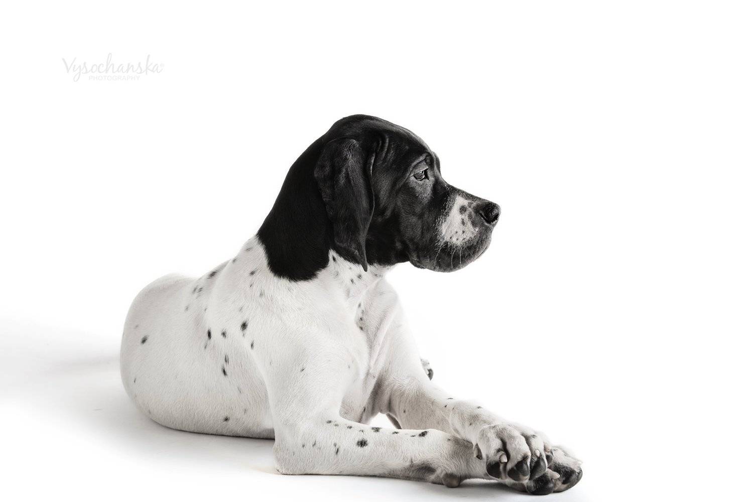 , Tetyana Vysochanska