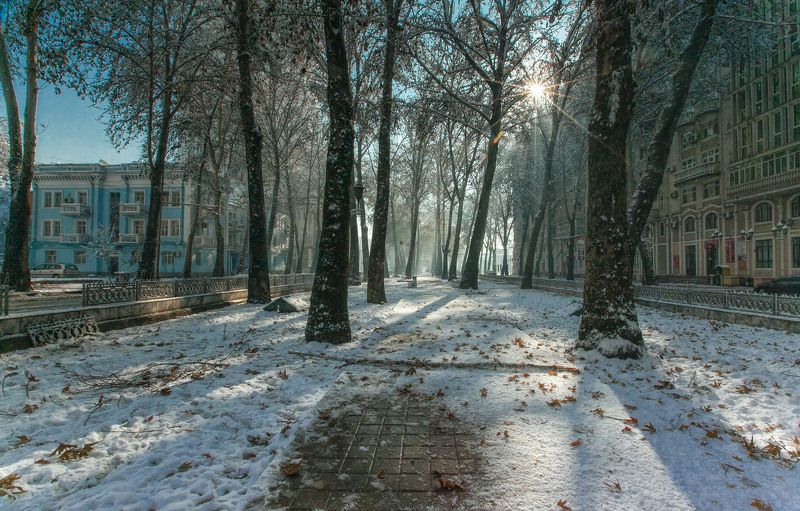 Зимний день… Душанбе. Таджикистан
