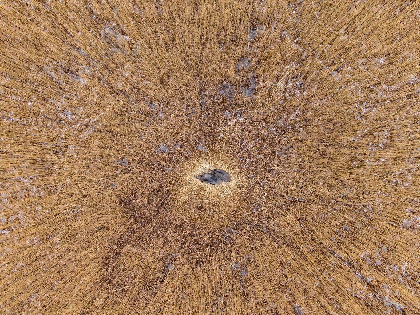 , Александр Абросимов