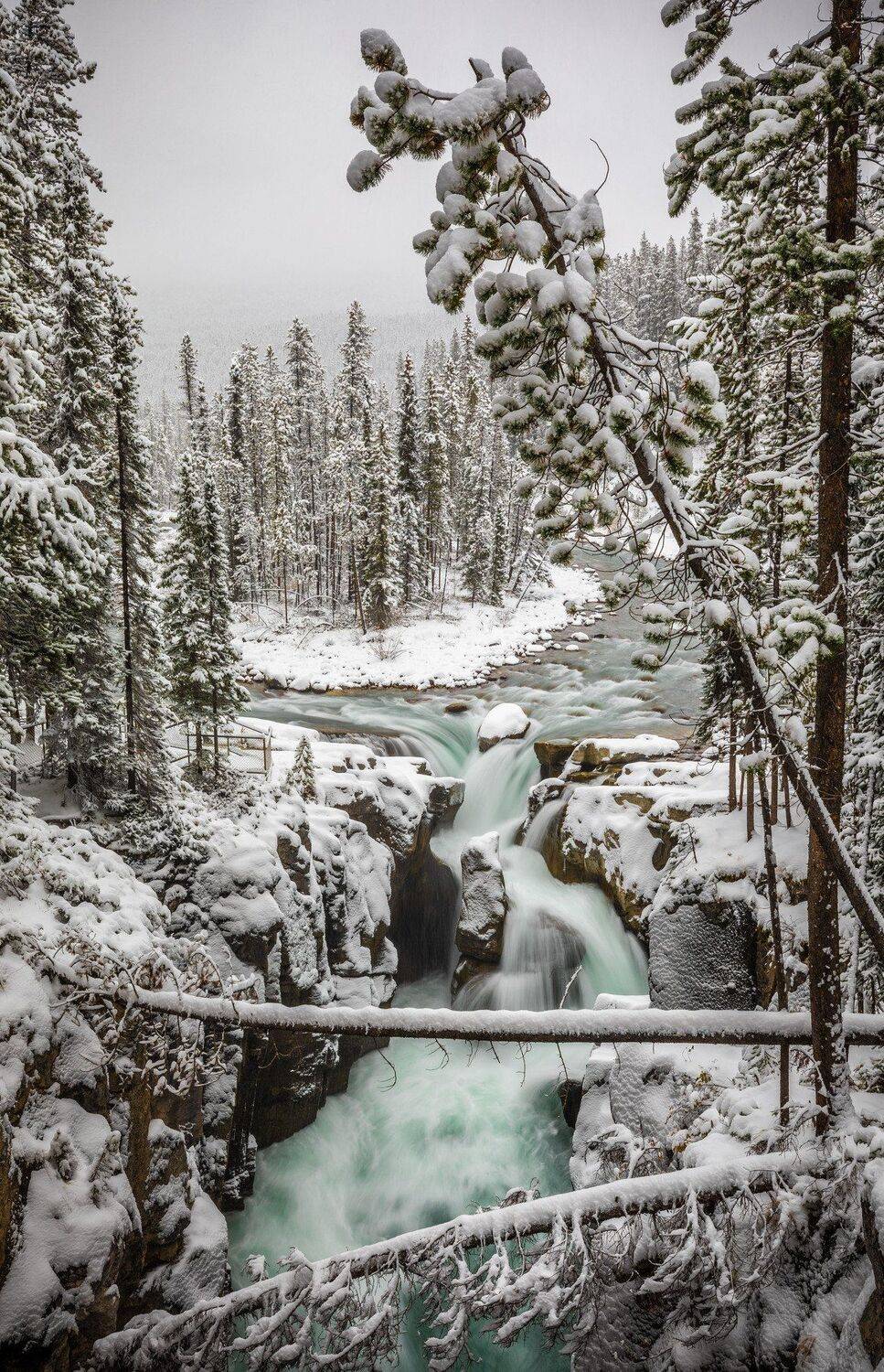 , Александр Лозицкий