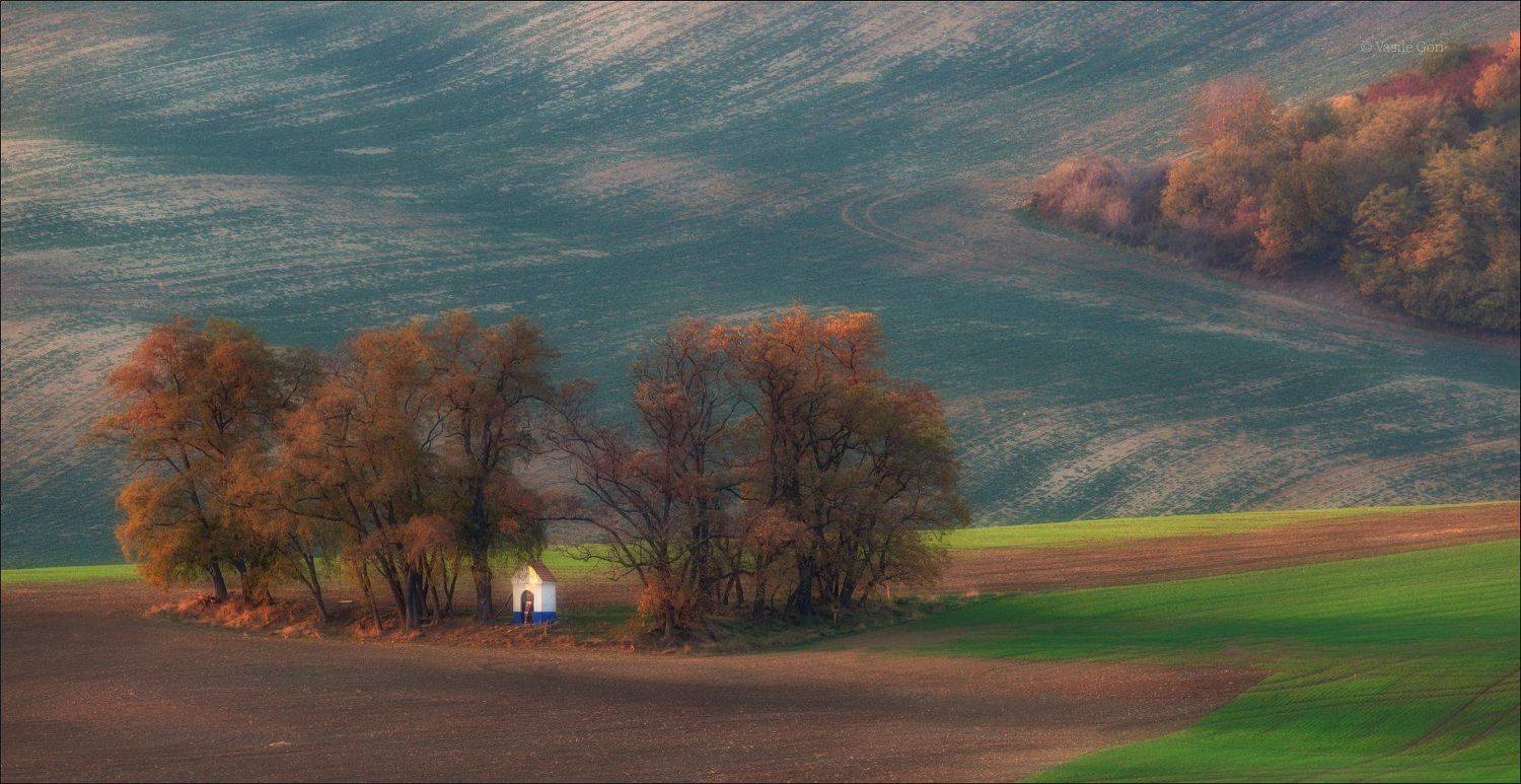 южная моравия,пейзаж,hils,часовенка, св.варварa,линии,chapel,south moravian,lines,свет,czech,осень,чехия,landscapes., Василий Гори