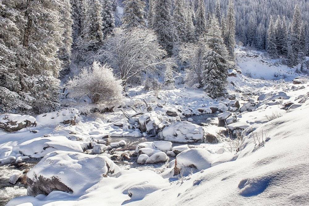 кыргызстан, горы, Элина Магалимова