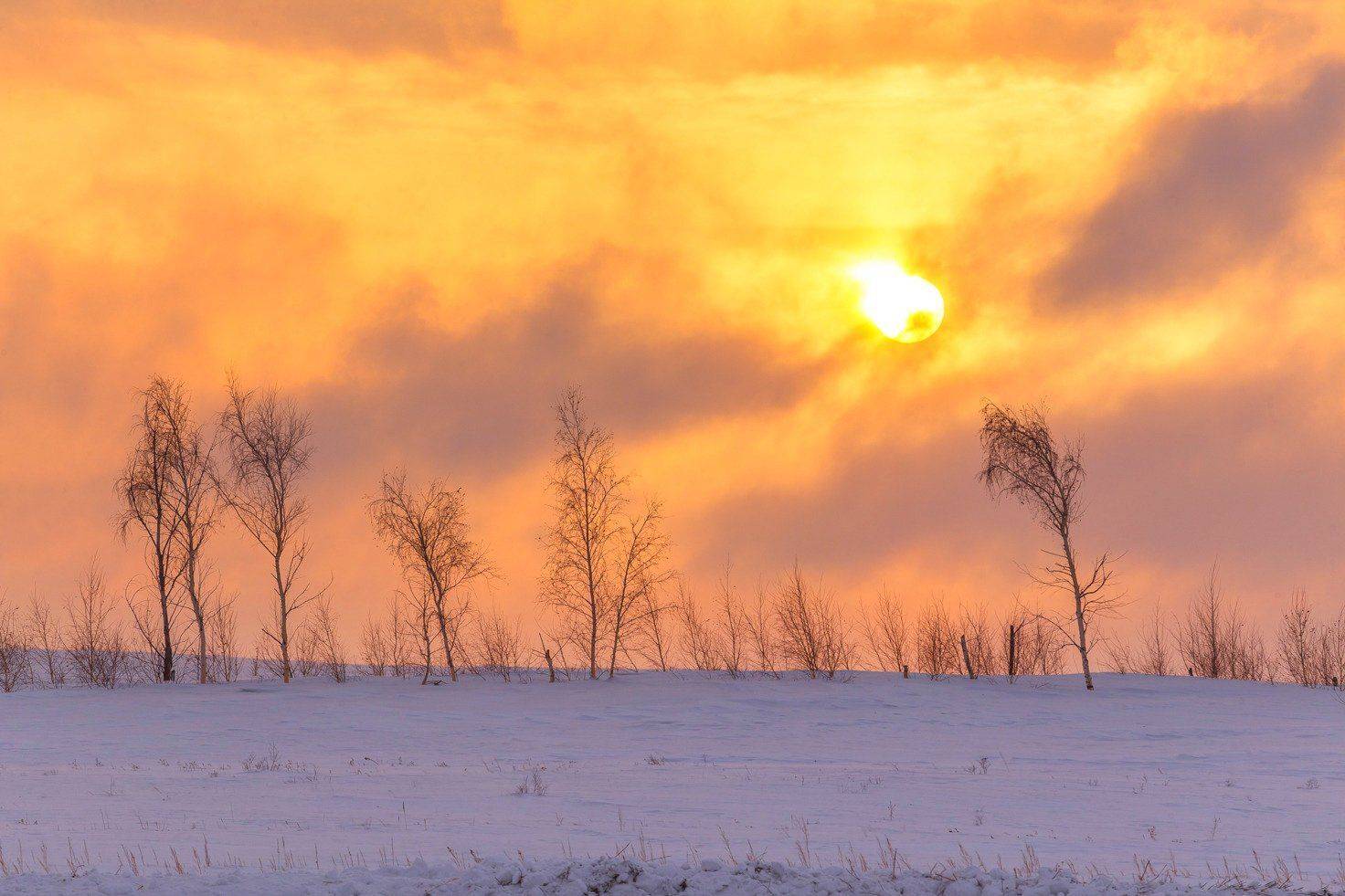 , Павел Сагайдак