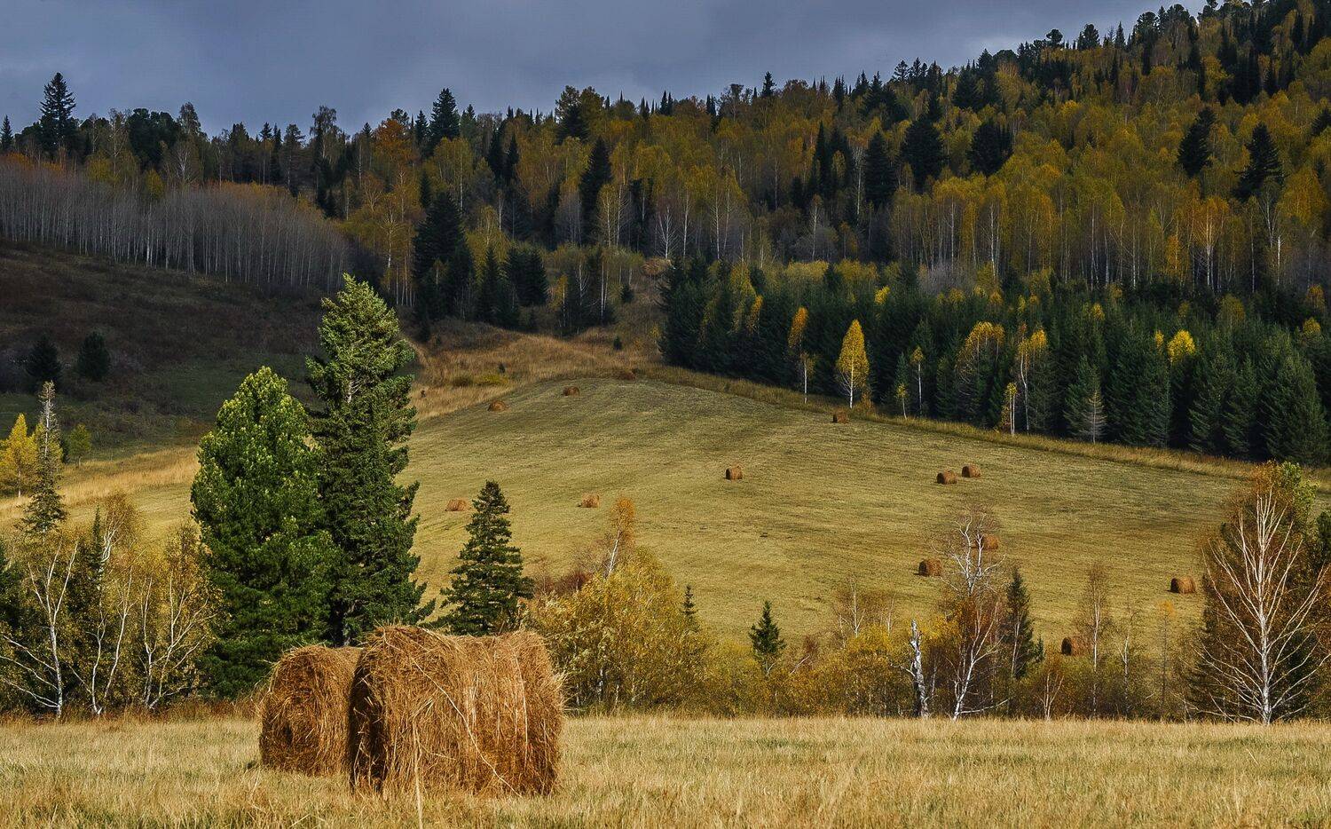 горы, Евгений Дроботенко