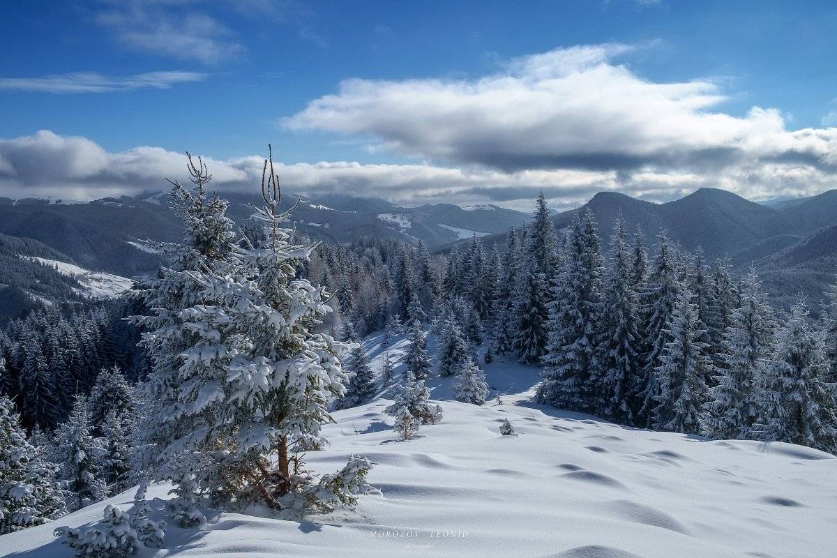 карпаты., украина., зима., пейзаж., снег., карпатский., гора., красивый., небо., природа., дерево., холод., мороз., путешествия., белый., сезон., ель., лес., фон., снежный., горы., зимний., утро., отдых., солнце., лед., изморозь., иней., сцена., синий., с, Леонид Морозов