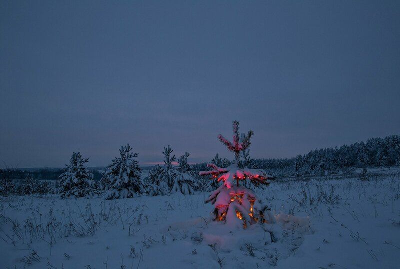 Предновогодние сумерки