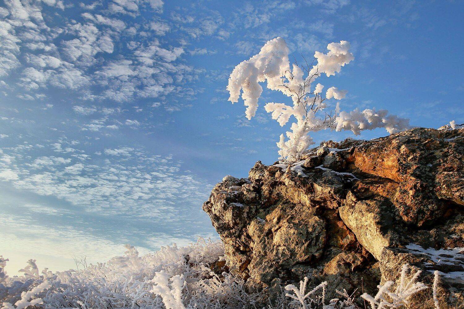 , Качурин Алексей