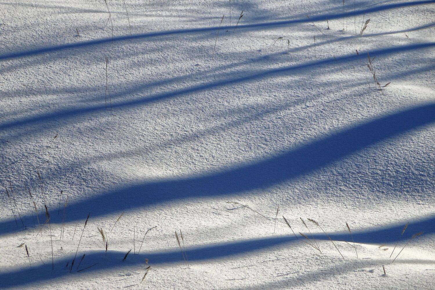 снег зима иней контровой, Качурин Алексей
