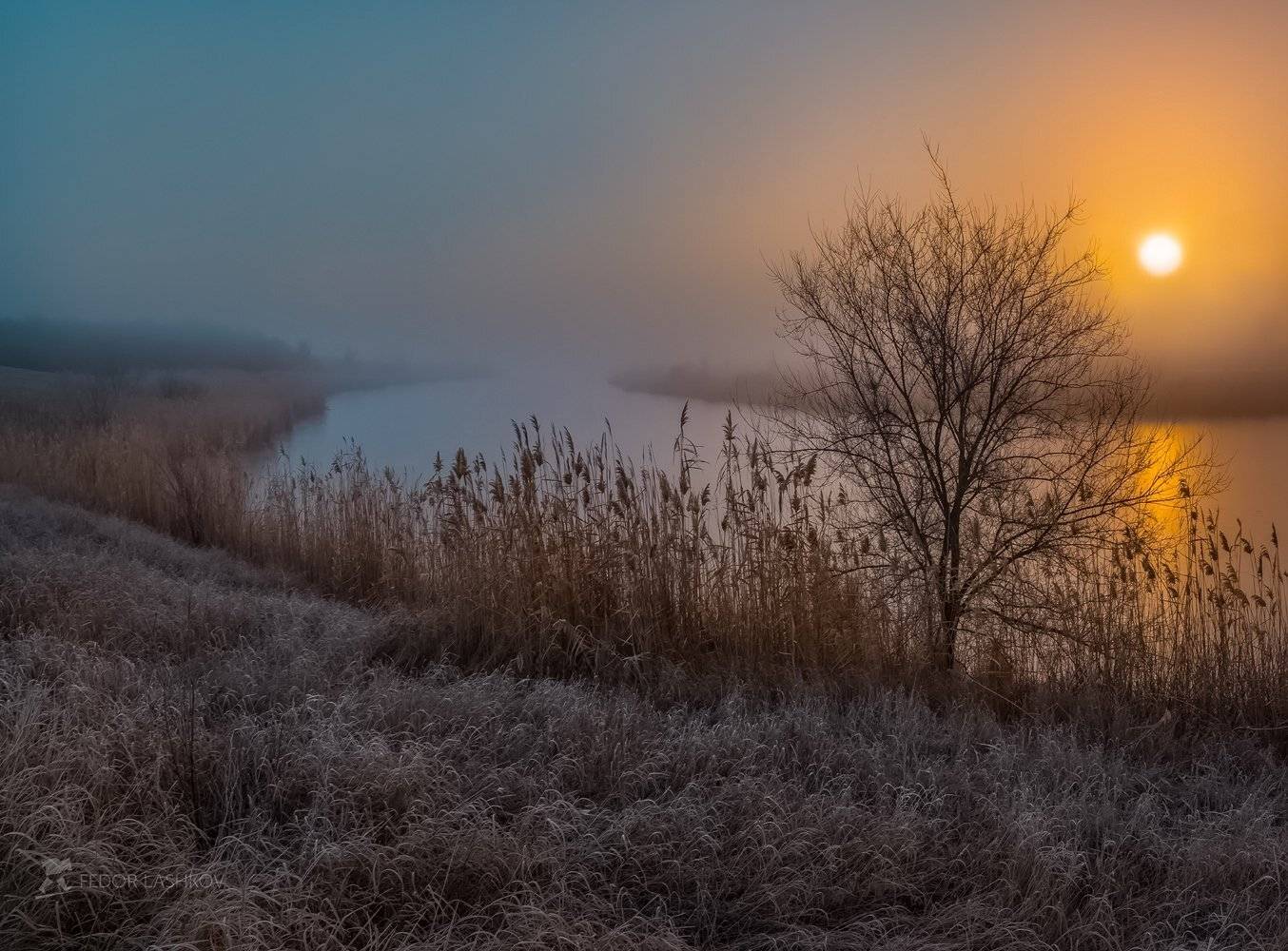 ставропольский край, фотоальбом, ставрополье, зима, рассвет, иней, заказник, река, гок, туман, тростник, дерево, лёд,, Лашков Фёдор