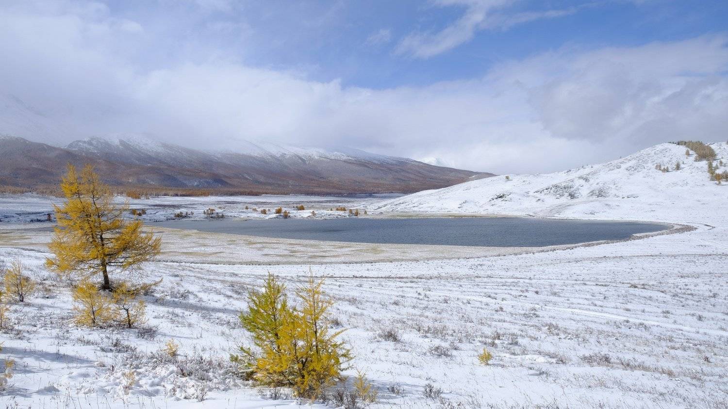 , Ольга Челдыкова