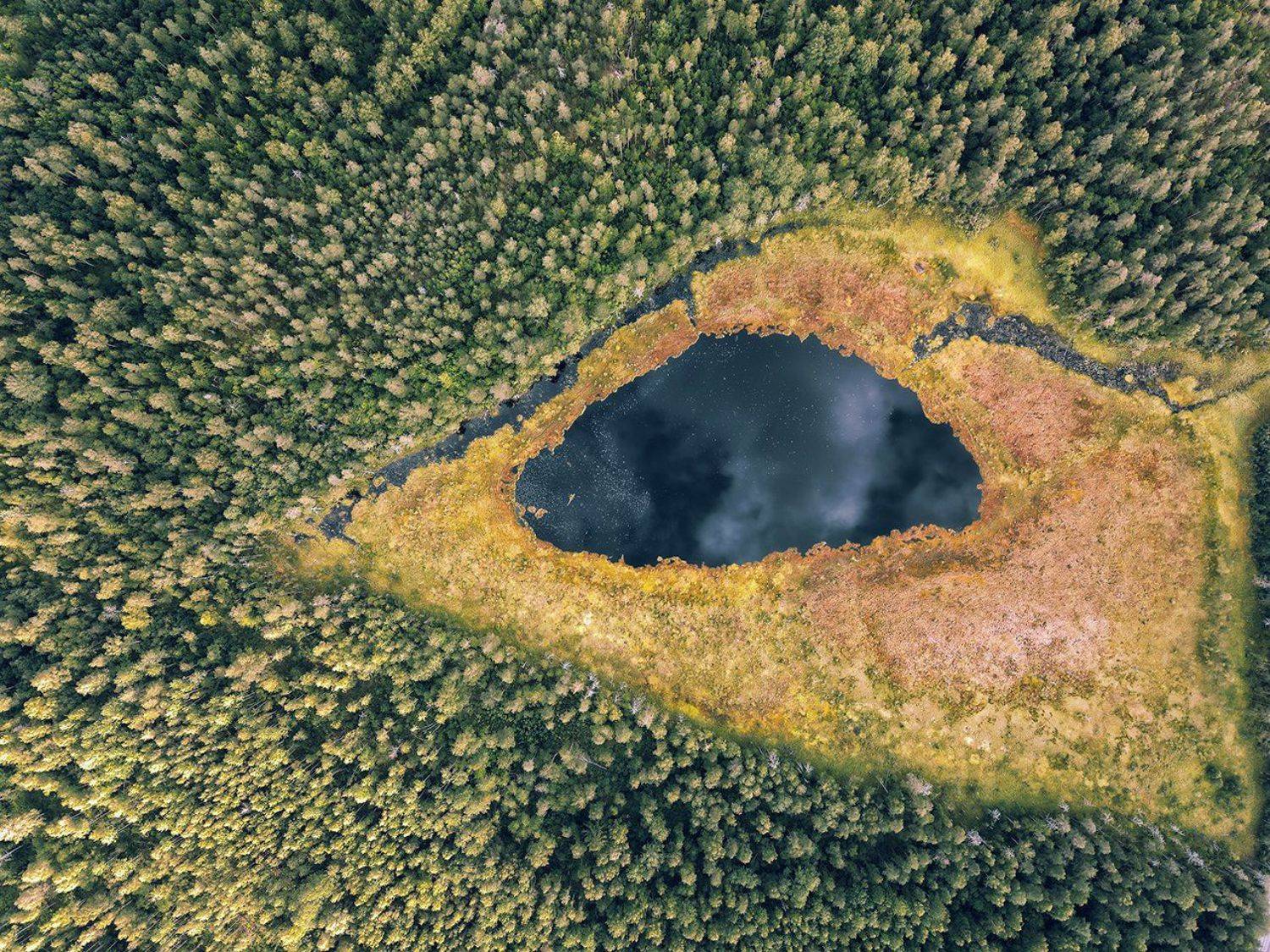 , Павел Жданов