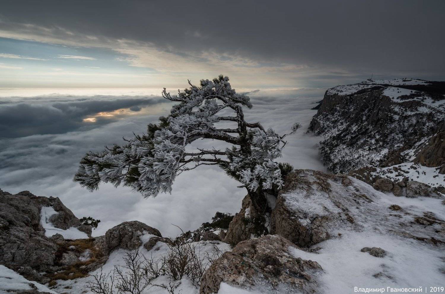 , Гвановский Владимир