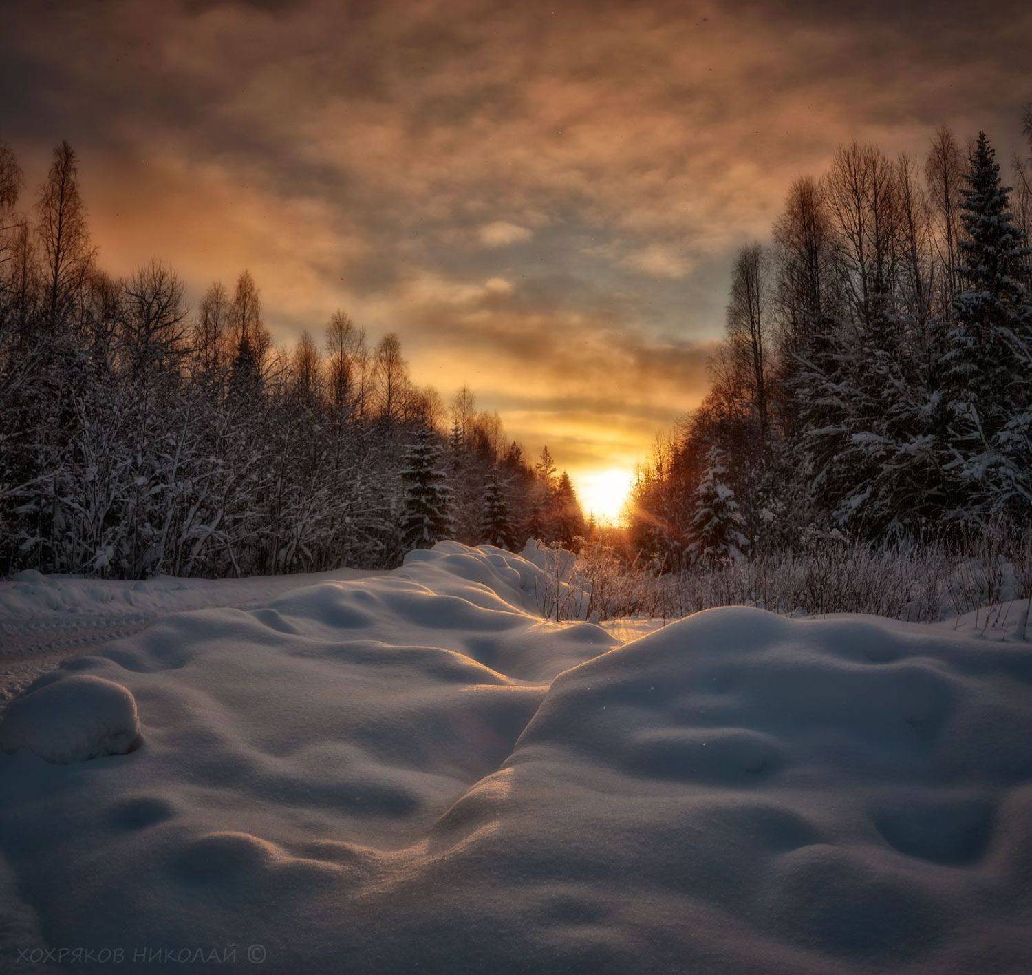 , Хохряков Николай