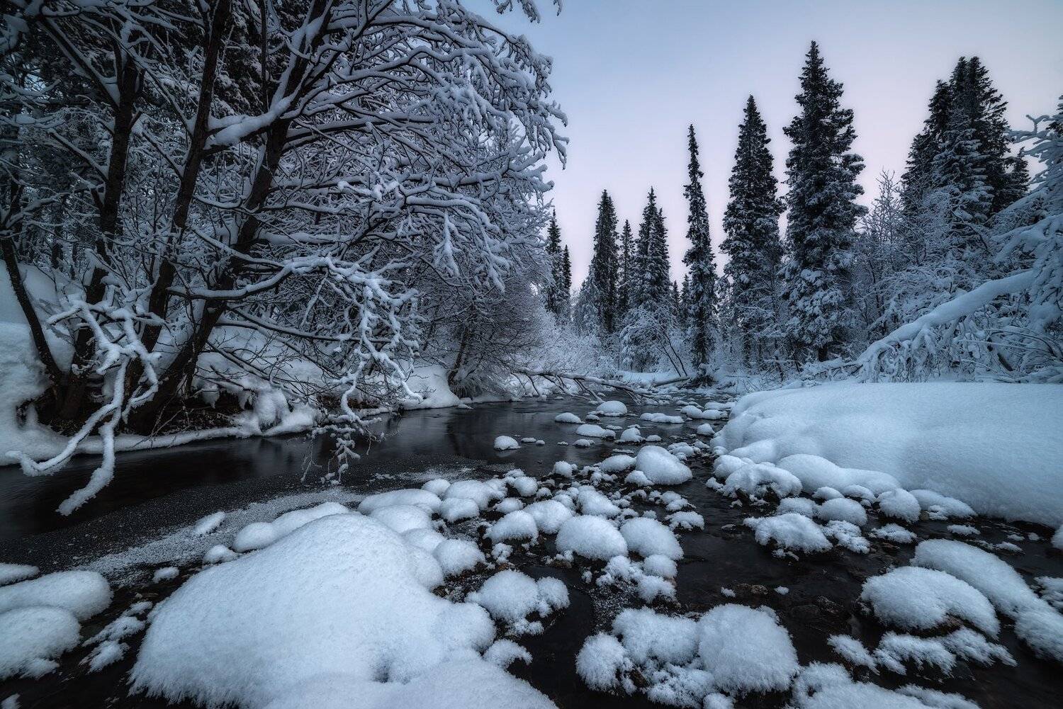 умболка, север, кольский, январь, хибины, мороз, изморозь,, Роман Горячий