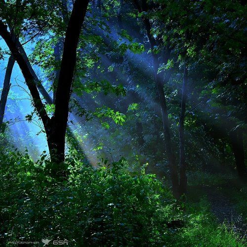 Лунный свет...