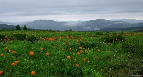 Огоньковое утро...