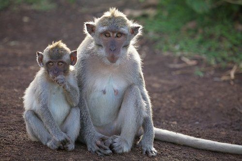 Мы сами не местные...