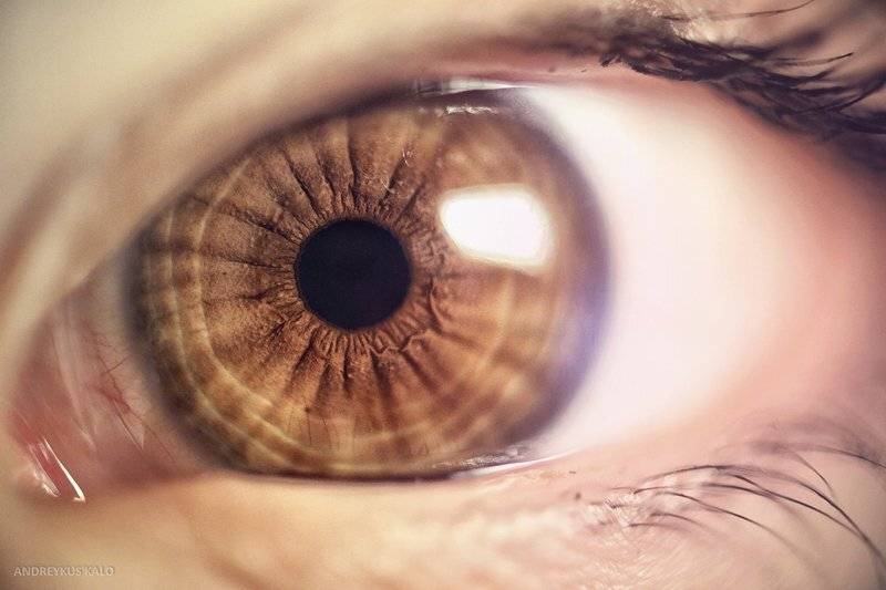 , Андрей Куськало