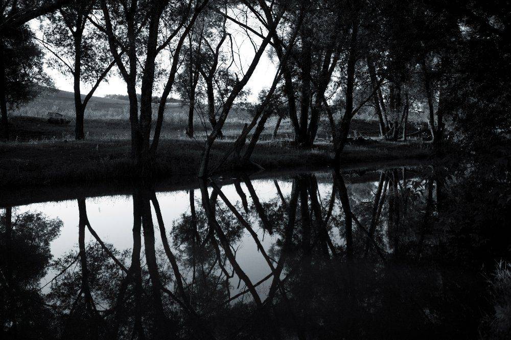 , Максим Филипов