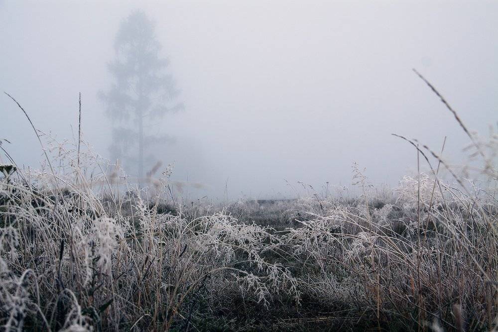 , Николай Морский