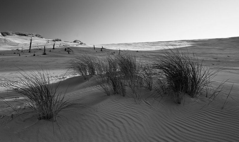 *** my lonely planet фото превью