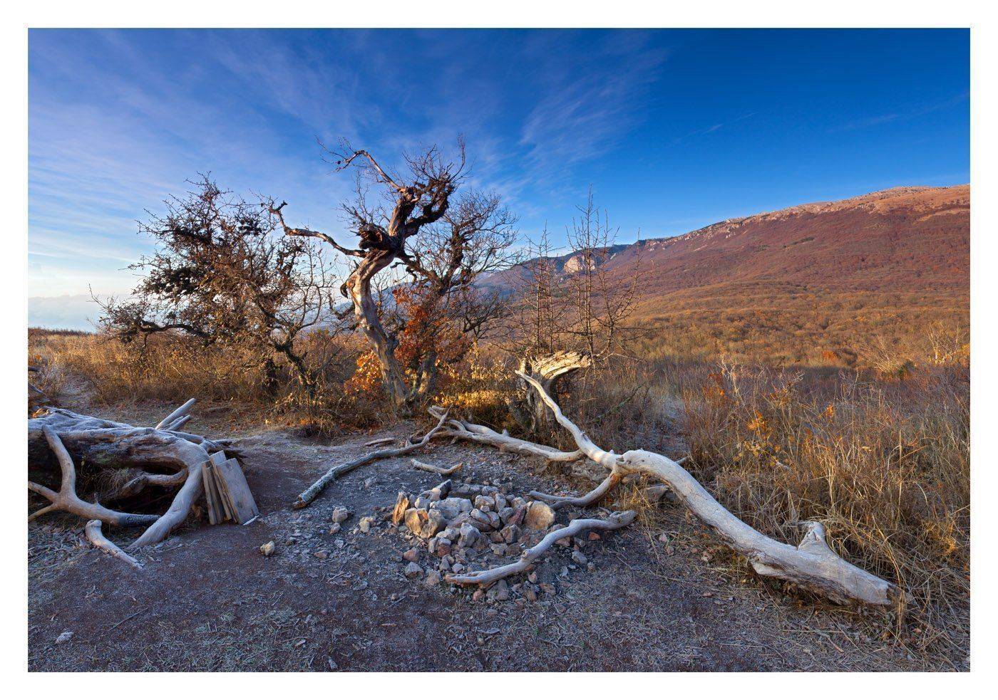 , Станислав Савицкий