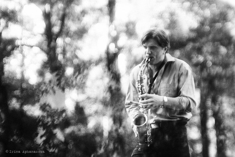 лесной джаз фото превью