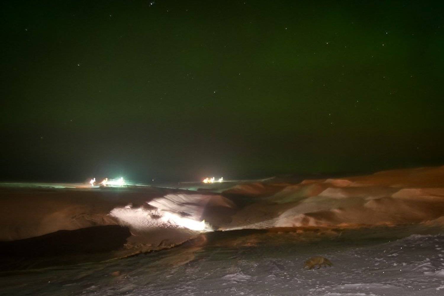 полярное, сияние, лиса, Иван Кислов