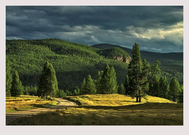 Дороги Алтая фото превью