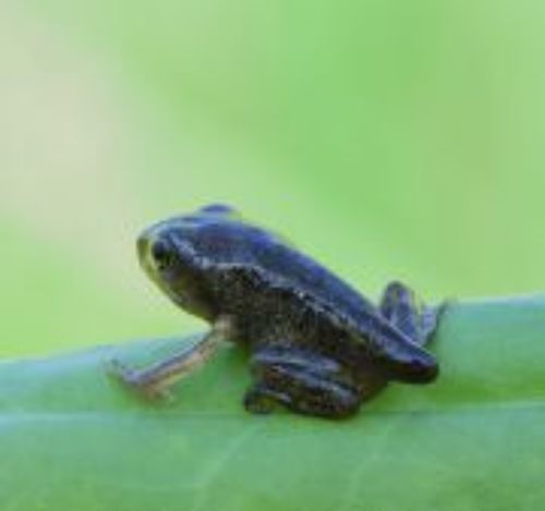 Выход в новый мир