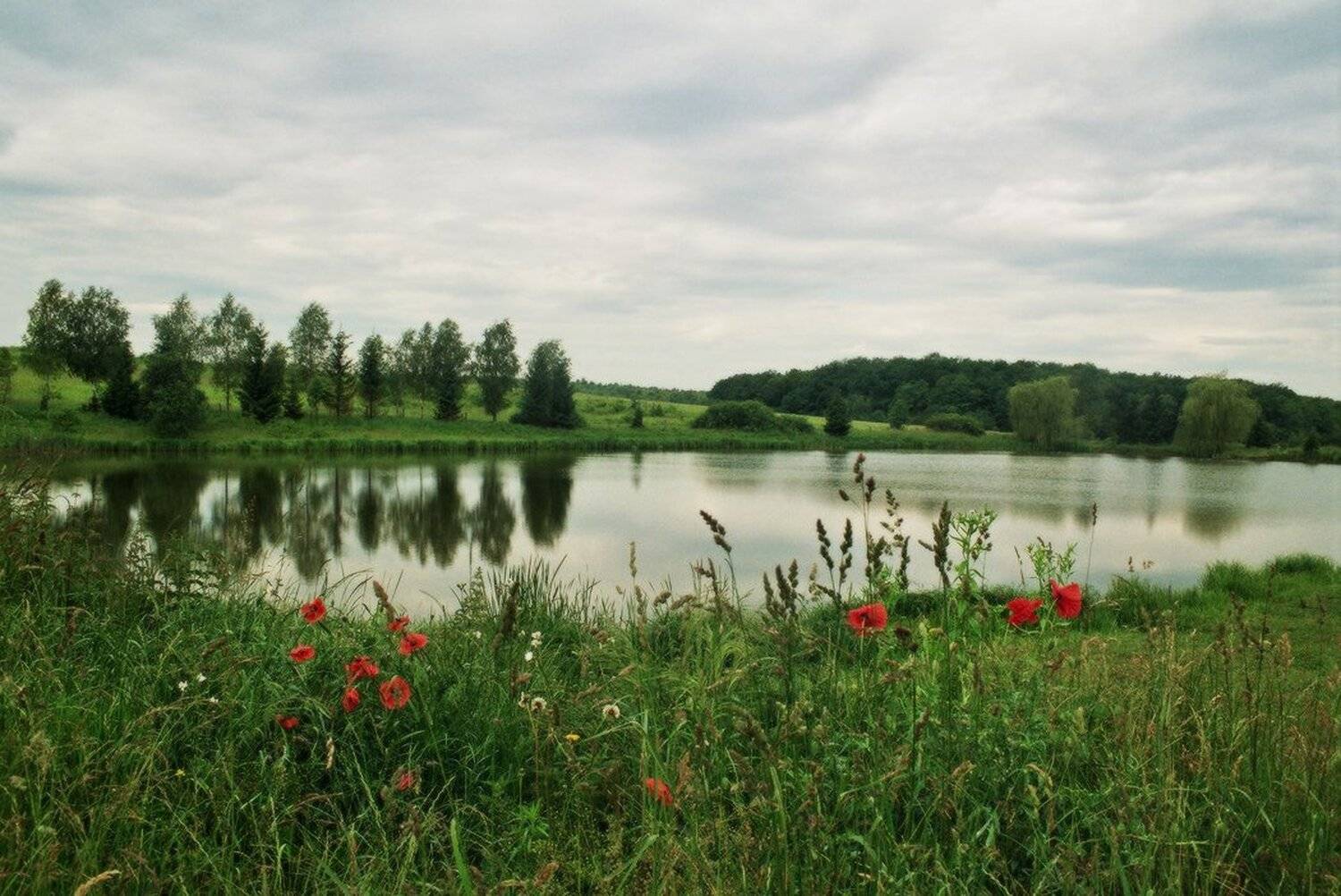 лето, долина, маки, цветы, озеро, пейзаж, пленка, Art Loo
