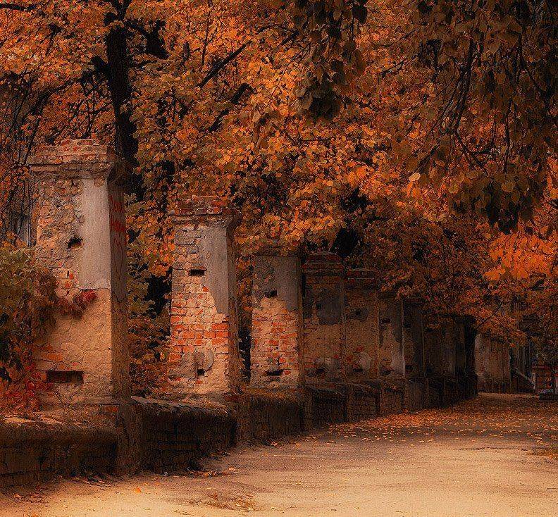 осень, улица, Александр