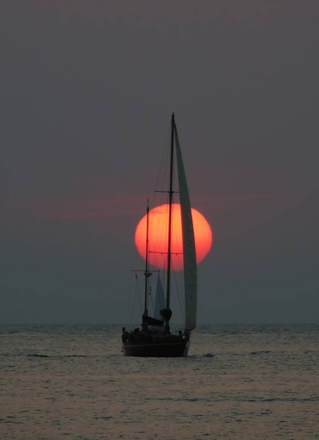 , Игорь Олейник