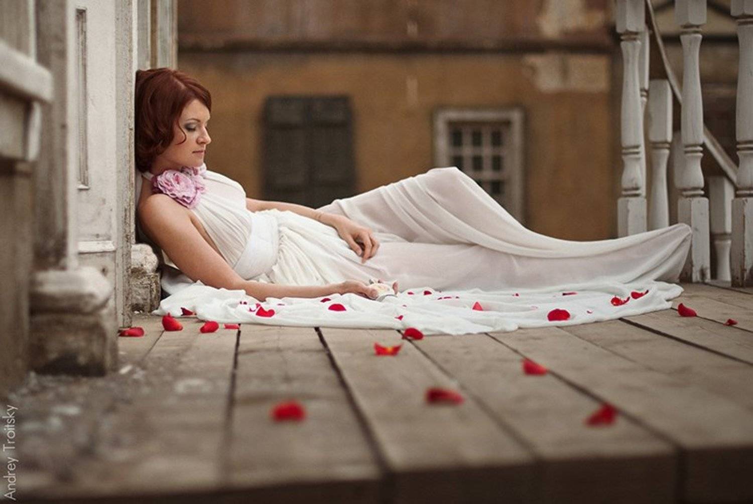 сон, Андрей Троицкий