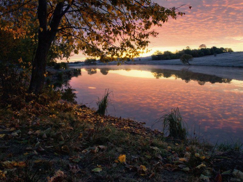 Осенний блюз фото превью