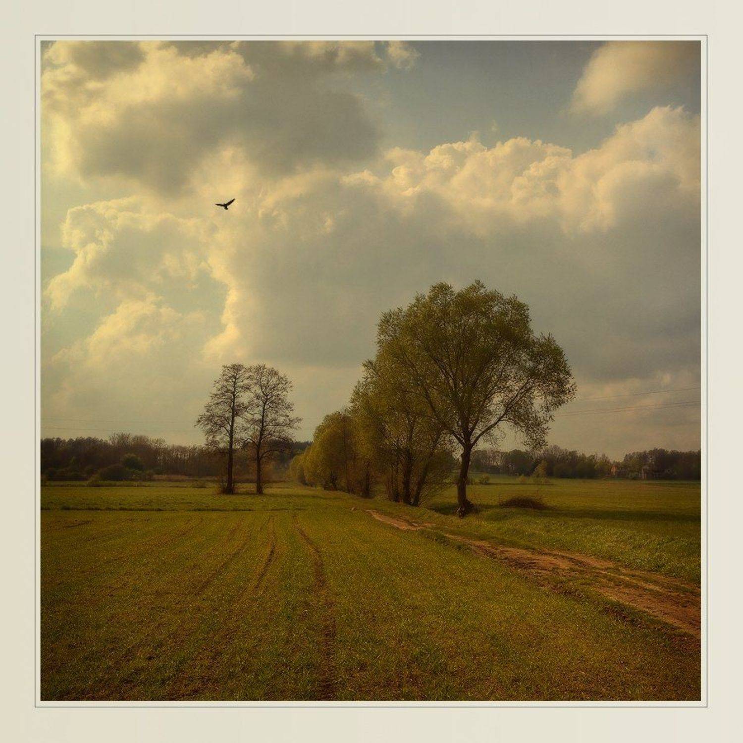 пейзаж, Oleg Dmitriev