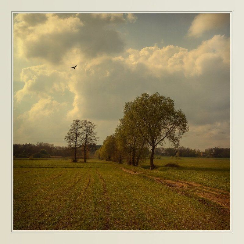 пейзаж банально-весенний пейзаж фото превью