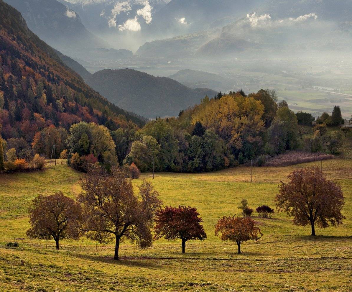 swiss, Матвеев Николай