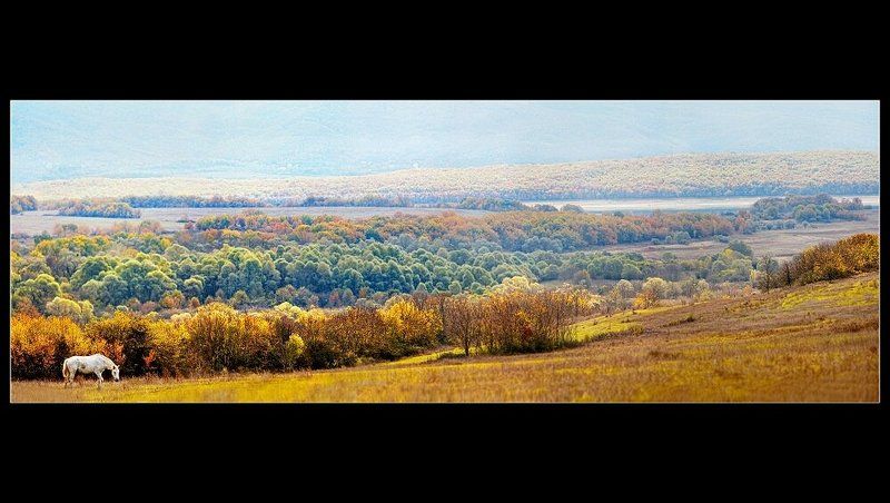 осеннее фото превью