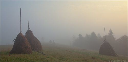 про карпатские стожки